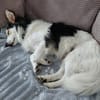Theo - ein aktiver und enger Begleiter