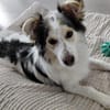 Theo - ein aktiver und enger Begleiter
