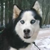 FELIX 2 ist liebenswert und freundlich