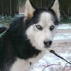 FELIX 2 ist liebenswert und freundlich