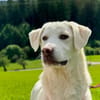 Cannella wünscht sich eigenes Körbchen