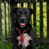 Nerina sucht Familienanschluss