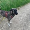 Lebensfrohe Lucy
