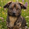 Molly- möchte bei dir ankommen