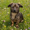 Molly- möchte bei dir ankommen
