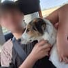 Eddie kann mit Katzen, Hühner + Hasen