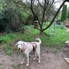 Orkun sucht geduldige Menschen