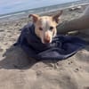 Elio wartet in Bayern!