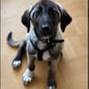 Doro sucht ihre Familie