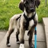 Doro sucht ihre Familie