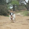 Hundekind sucht Bestplatz