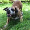 Conny superliebe Seniorin