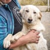 Argo wartet in Hessen!