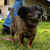 BELLA PAA24246