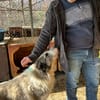 ROCO