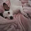 Betsy, je suis douce et tendre