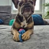 Gisela PP sucht ihren Hafen
