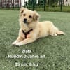 Zlata, 2 Jahre Alt