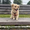 Zlata, 2 Jahre Alt