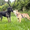 OHANA * Mit Eifer und Freude ins Leben