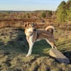 Polly sucht ihren sicheren Hafen