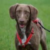 Lola sucht sportliche Menschen