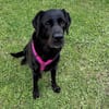 Margot sucht engen Familienanschluss