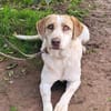 Luna eine tiefenentspannte Lady