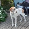 Luna eine tiefenentspannte Lady