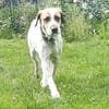 Luna eine tiefenentspannte Lady