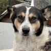 Noa ist bereit für ein neues Leben