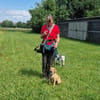 Frisbee  lernwillig und aufgeweckt