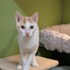 BENNY A17443