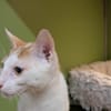 BENNY A17443