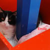 Emile