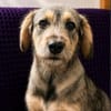 Kairo- ist startklar du auch?