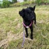 Tonia sucht ihr Für-immer-Zuhause 🐾😍