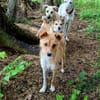 Glücksgefühl gesucht für Tammy