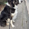 Boey sucht erfahrene, aktive Menschen