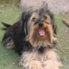 Unser Schnuckelchen  TOBY