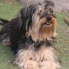 Unser Schnuckelchen  TOBY