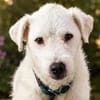 Nelly- sucht ihr Happyend