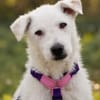 Nelly- sucht ihr Happyend