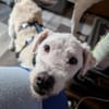Nelly- sucht ihr Happyend