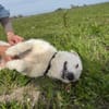 Nelly- sucht ihr Happyend