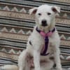 Nelly- sucht ihr Happyend