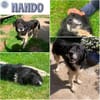 NANDO -ruhig, entspannt & bescheiden-