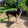 NANDO -ruhig, entspannt & bescheiden-