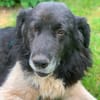 NANDO -ruhig, entspannt & bescheiden-