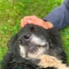 NANDO -ruhig, entspannt & bescheiden-
